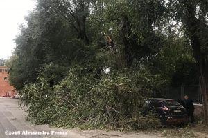 alt tag allerta meteo roma