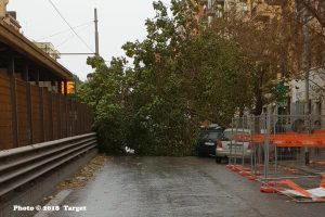 alt tag allerta meteo