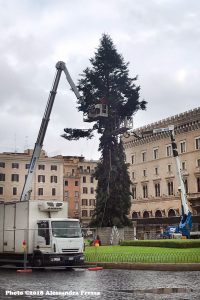 alt tag albero di natale