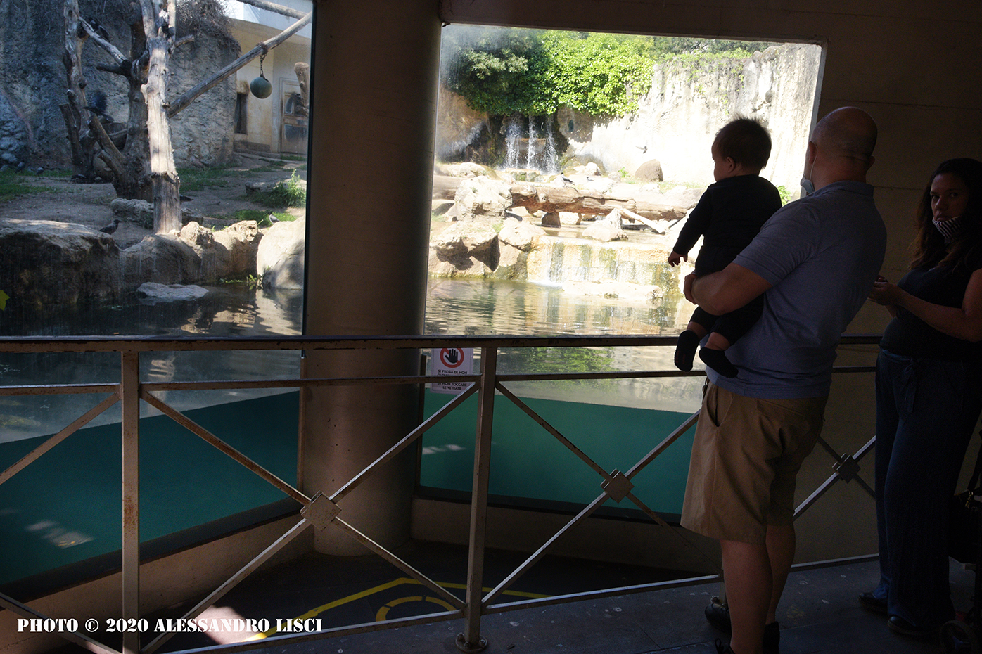 alt tag Bioparco di Roma