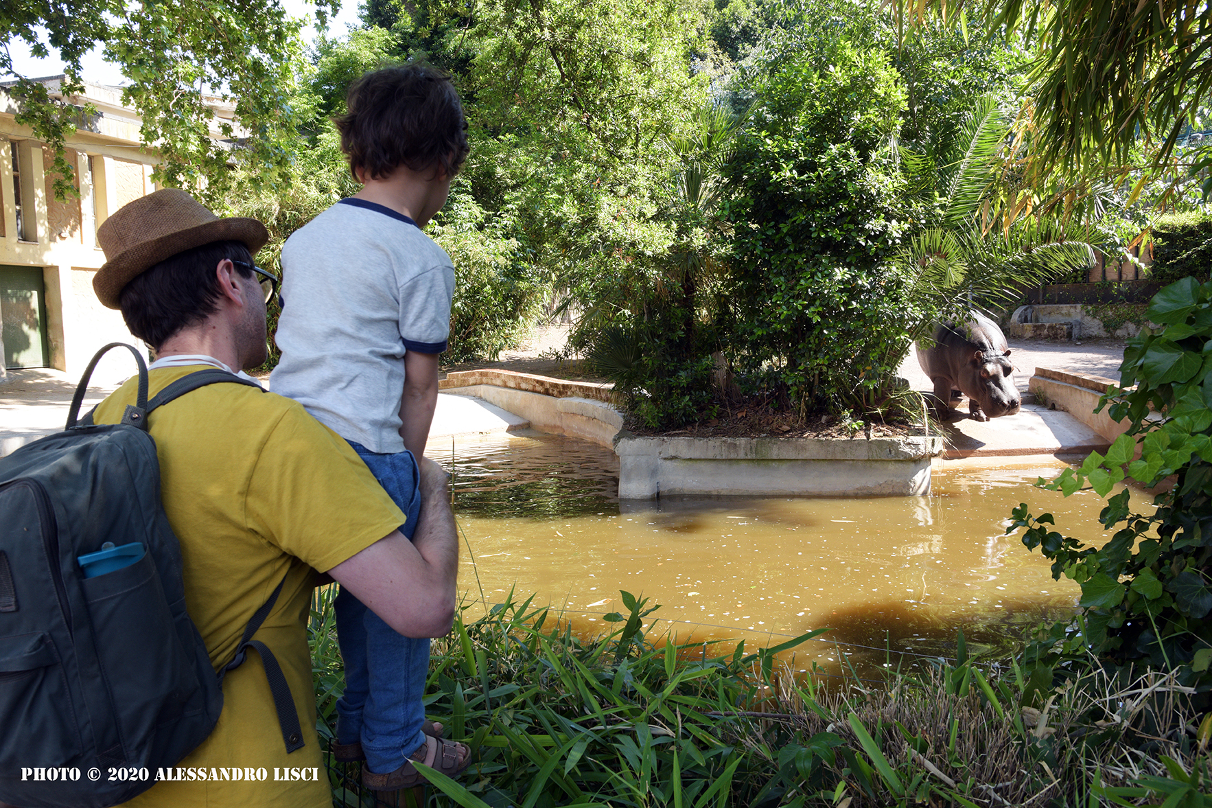 alt tag Bioparco di Roma