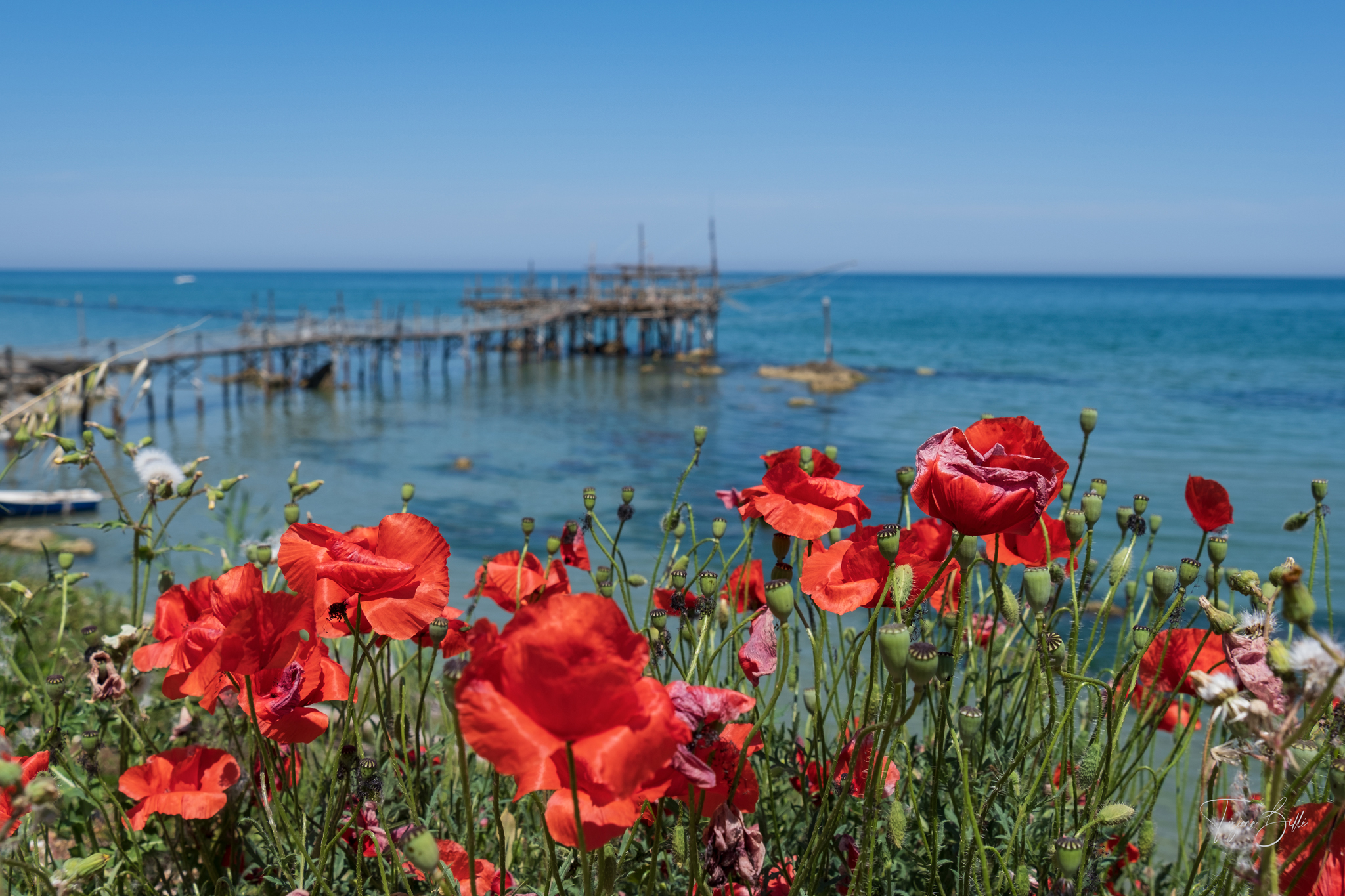 alt tag trabocchi