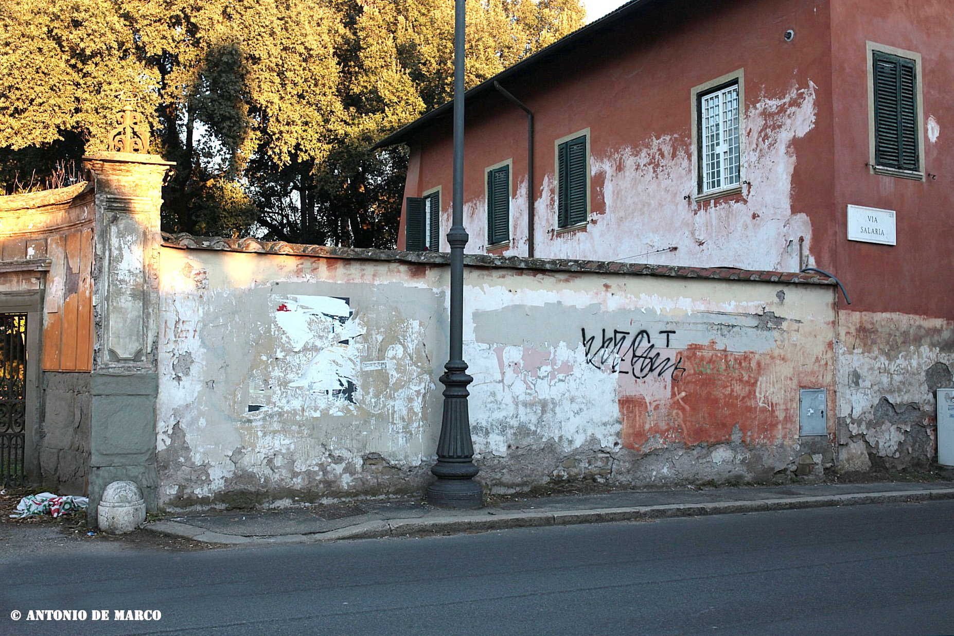 alt tag foto del giorno