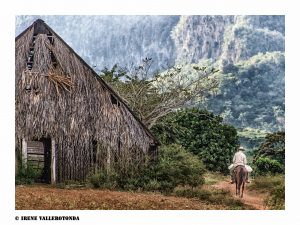 alt tag reportage cuba