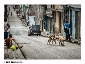 alt tag reportage cuba