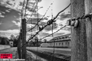 alt tag Dachau Print Focus