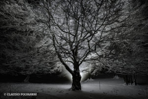 alt tag Fotografia Notturna