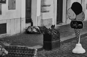 alt tag Pietro Coppa