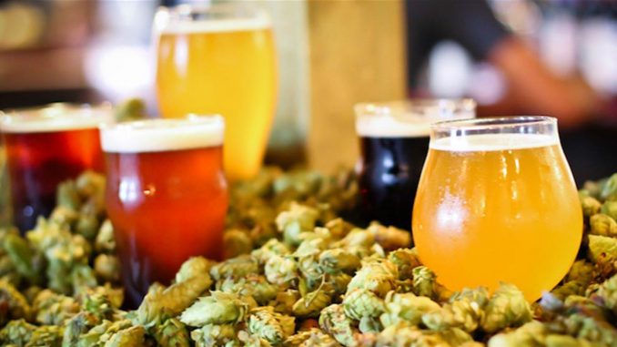 Alt text Birra Dal Basso Alt text Birra Dal Basso