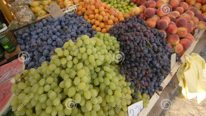 alt tag mercato mediterraneo alt tag mercato mediterraneo