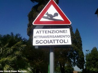 alt tag scoiattoli