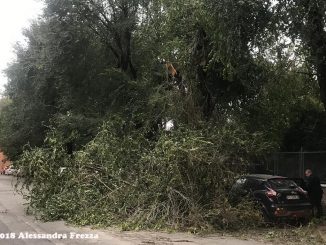 alt tag allerta meteo roma