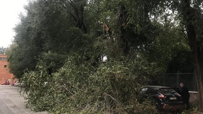 alt tag allerta meteo roma alt tag allerta meteo roma