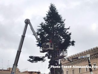 alt tag albero di natale