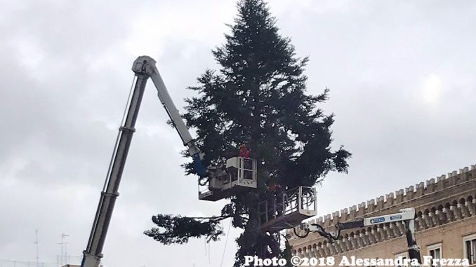 alt tag albero di natale