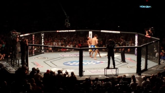 Alt text MMA Alt text MMA