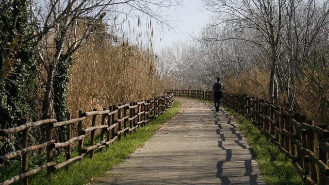alt tag la passeggiata alt tag la passeggiata