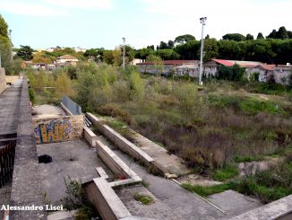 alt tag Campo Testaccio