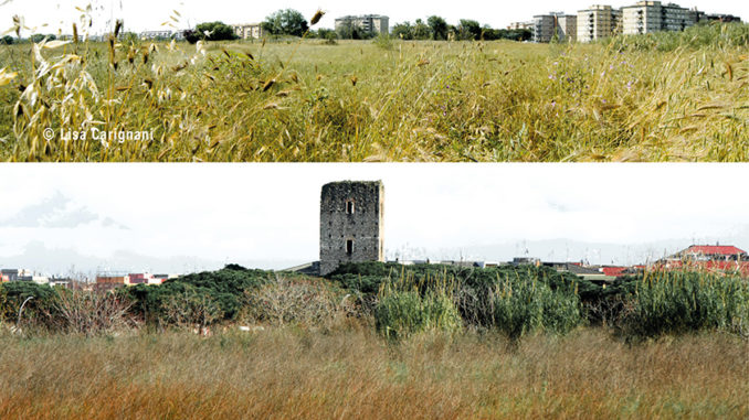 ritaglio alt tag pratone di torre spaccata