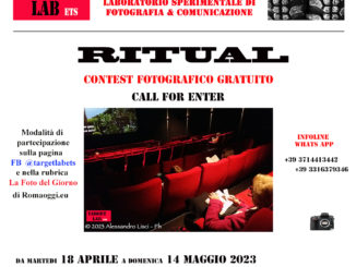 alt tag contest fotografico