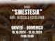 alt tag sinestesia