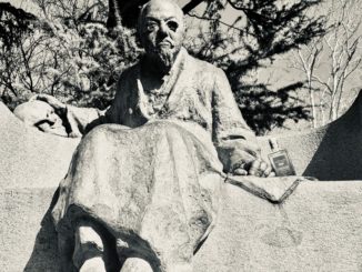 alt tag Giuditta Godano