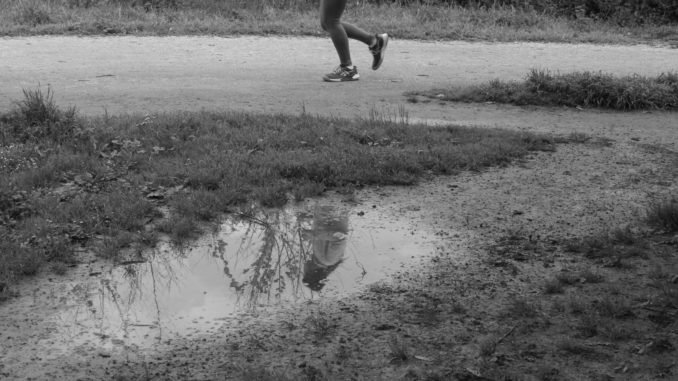 Alt tag Stefano Togna