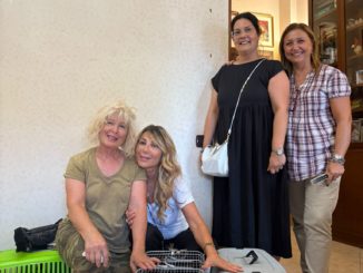 alt tag Patrizia Prestipino