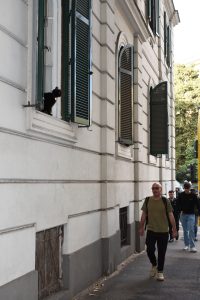 alt tag Chiara Gioia