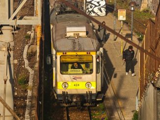 alt tag Emanuele Colonnelli