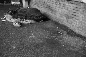 alt tag Roberto Innocenti