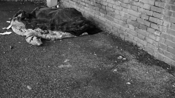 alt tag Roberto Innocenti