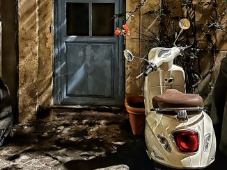 alt tag Maurizio Attisani