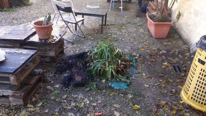 alt tag La Maggiolina