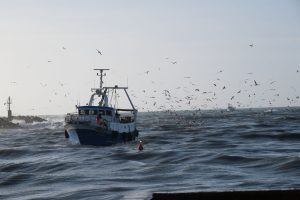 alt tag sabina Padoa