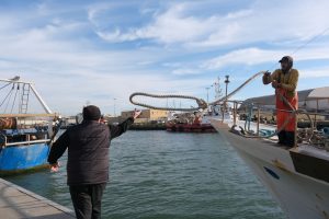 alt tag sabina Padoa