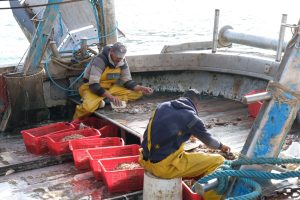 alt tag sabina Padoa