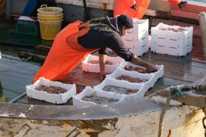 alt tag sabina Padoa