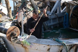 alt tag sabina Padoa