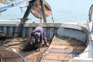 alt tag sabina Padoa