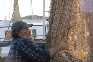 alt tag sabina Padoa