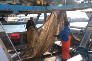 alt tag sabina Padoa