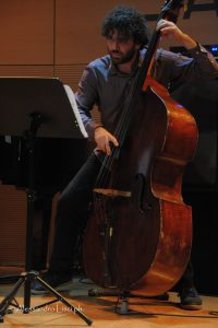 alt tag Mouche Bulle