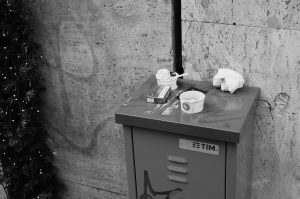 alt tag Daniela Sestili