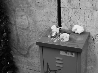 alt tag Daniela Sestili