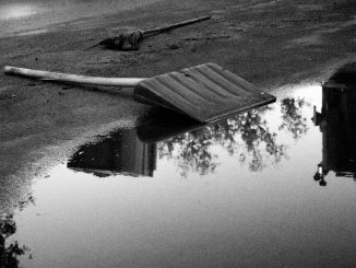 alt tag Mariana Barros