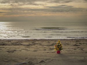 alt tag Annamaria Pieri