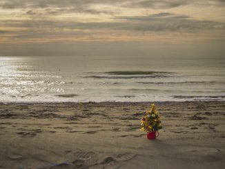 alt tag Annamaria Pieri