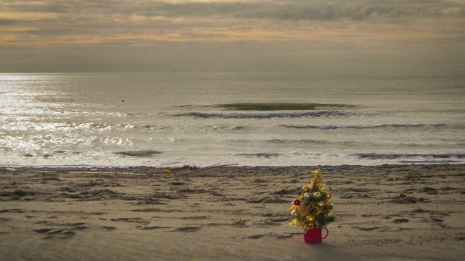 alt tag Annamaria Pieri