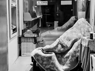 alt tag Stefano Bellesio